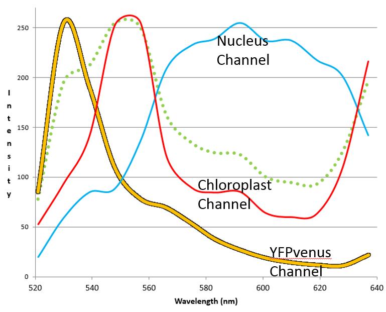 Individual spectra 'channels' used for unmixing the data set for Fig2